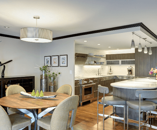 Chic Contemporary Condo Kitchen